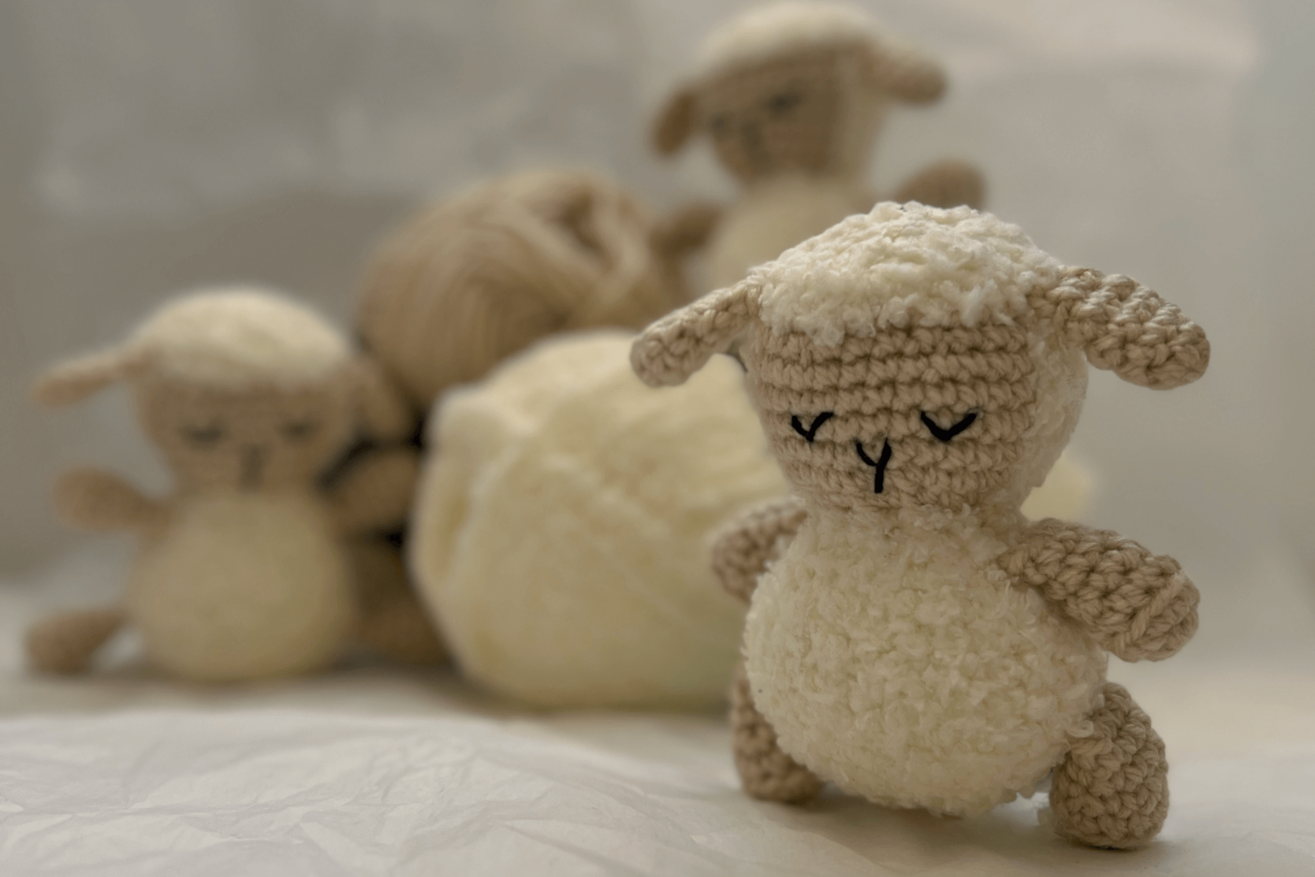 Read more about the article הדרכת סריגה – בובת כבשה